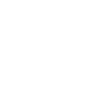 描述